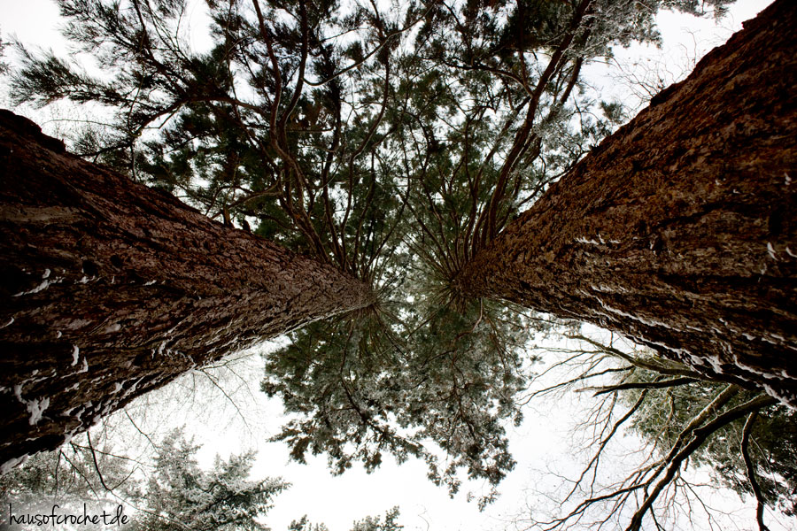 Floriansberg - hoch über Metzingen