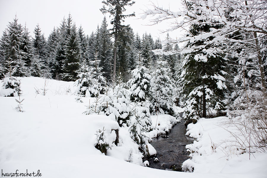 Winterwandern am Feldberg: Von Altglashütten zum Schluchsee
